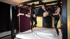 Thumbnail of 2 FEMDOMS USE THE VERTICAL HANGING SLAVE GIRL