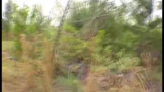 Thumbnail of Tour D' Fuck