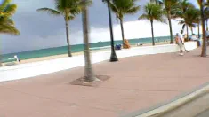 Thumbnail of Spring Break . Volume