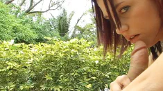 Thumbnail of Backyard Boogie