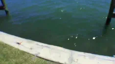 Thumbnail of From LA For Some Cum...
