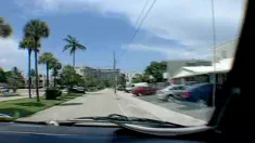 Thumbnail of Lauderdale Moves
