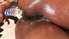 Thumbnail of Most Startling Closeups