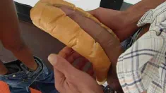Thumbnail of Monster Surprise