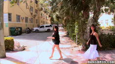 Thumbnail of Fun In Spring Break