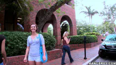 Thumbnail of One Crazy Day In The Grove!