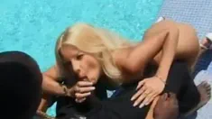 Thumbnail of Cum Swallower Kristina Shows Butthole While Sucking Interracial Dong