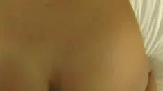 Thumbnail of Hungry Hungry Anna