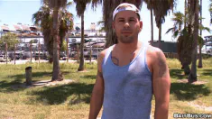 Thumbnail of Vince Wants To Rev Your Engine