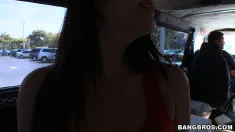 Thumbnail of Wild & Crazy Bangbus!!!
