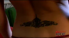 Thumbnail of Gorgeous Newcomer Gets Naked