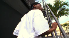Thumbnail of Getting Lo On The Beezy