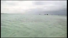 Thumbnail of Nikky Rider Makes Sure Her Partner Is Satisfied Before They Dock