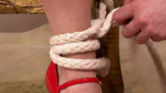 Thumbnail of Bound And Partially Dicked!