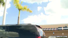 Thumbnail of Out Of Towner Gets Fucked