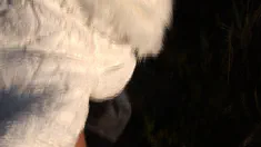 Thumbnail of Bend Me Over In The Fields