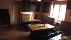 Thumbnail of The Bar Fly