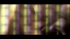 Thumbnail of Linda Shane Is Your Electronic Fantasy Cum Alive