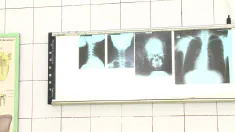 Thumbnail of Mammaries For Medics