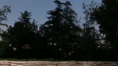 Thumbnail of Poolside Satisfaction