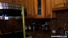 Thumbnail of New Maid Gets Fucked On The Job