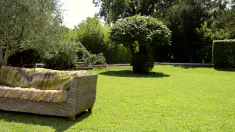 Thumbnail of Caught In The Garden - Pussy Licking Playtime