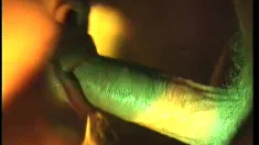Thumbnail of Jeanette, Blowing In The Dark