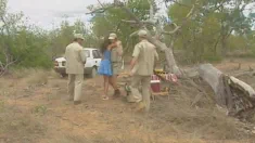 Thumbnail of Diana, Outdoor Ganbang In The Kruger Park