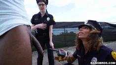 Thumbnail of You Don’T Fuck The Law