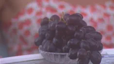 Thumbnail of Gina And Zana Sun Share A Pair Of Cocks