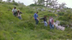 Thumbnail of Orgy Over The Grass
