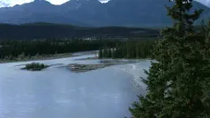 Thumbnail of Report From Canada
