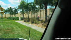 Thumbnail of Safety First, Fucking Second