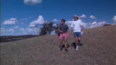 Thumbnail of Brandy N & Cheetah, Australian Mirage