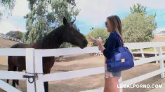 Thumbnail of Stretching Out Callie's Calypso Sweet Ass