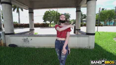 Thumbnail of Viral Revenge Fuck