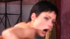 Thumbnail of Cleare Gets An Historical DP