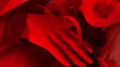 Thumbnail of My Vampire Bush For You