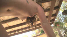 Thumbnail of Young Slut Maddy O'reilly Fucks A Local On Spring Break And He Cums On Her Tits - 4K Ultra HD