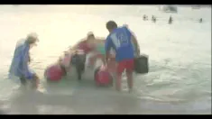Thumbnail of Tropical Heat, Report