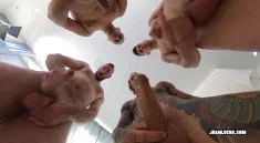 Thumbnail of The Cookie Game