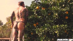 Thumbnail of Orange Juice
