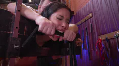 Thumbnail of Crooked Face Compilation #1 ! CFC - Combo