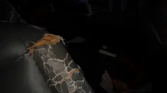 Thumbnail of Barely 18 On The Bus