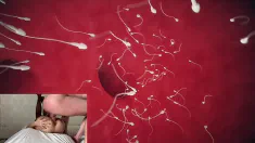 Thumbnail of How Does Fertilization Occur Deep Inside Biology