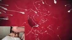 Thumbnail of How Does Fertilization Occur Deep Inside Biology