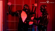Thumbnail of Slave Girl In Latex Catsuit In Electro-Shock-Heels