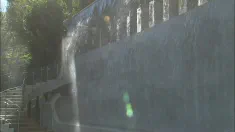 Thumbnail of Pussy Drilled To Orgasm By A Sweeter Big Good Cock