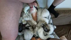 Thumbnail of Lady Crazywifeslut In Fur Coat Stuffed Her THROAT G O A T (Messy, Sloppy, Nasty, Dirty, Puke, Vomit)