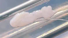 Thumbnail of Vaginaldischarge/Gapingpussy/Chinese Masturbation